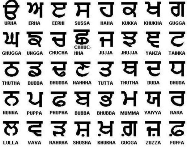 “Online Punjabi Language Tuition”.